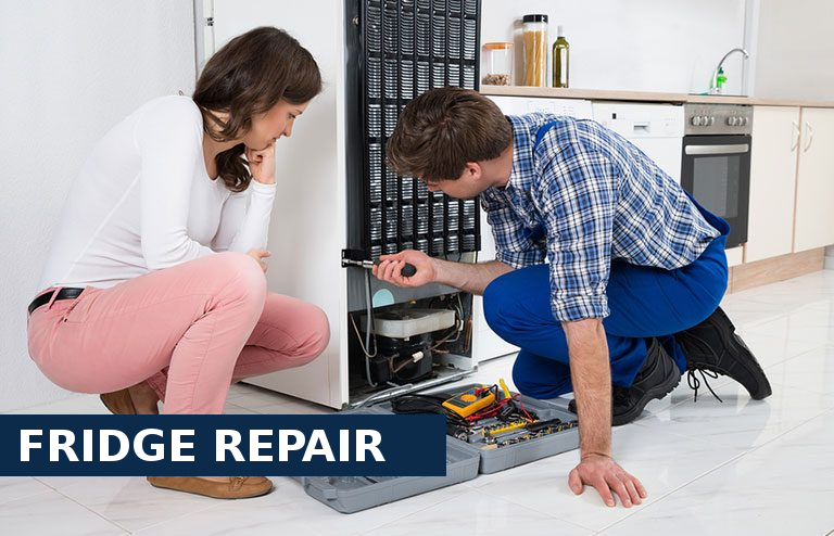 Fridge Repair Parson's Green